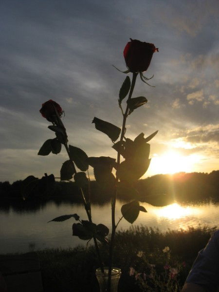 Светлана Линовиченко