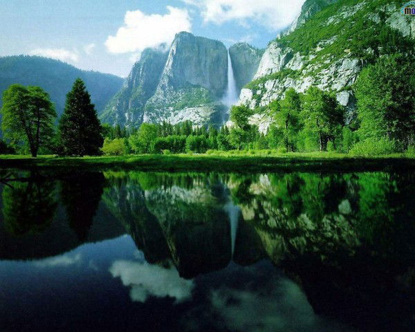 Юлия Черепова