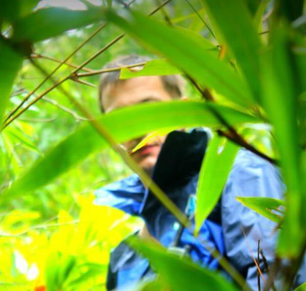 Артем Прохоров