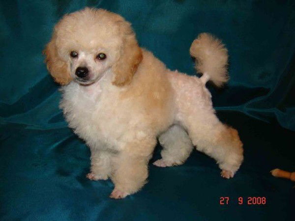 Алёна Постнова