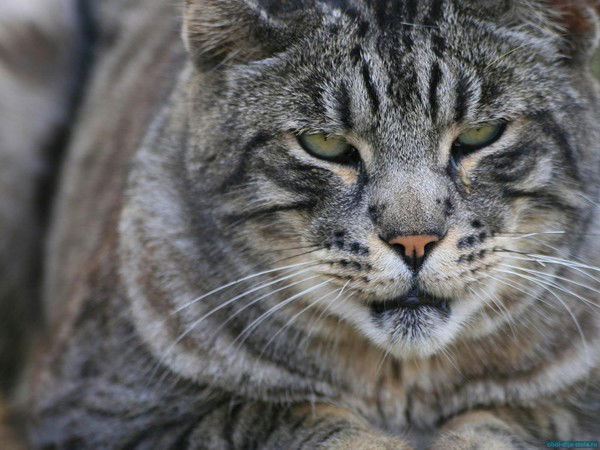 Юрий Егоров