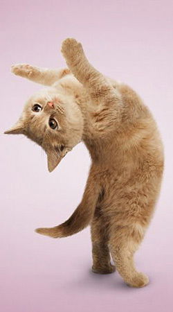 Самал Шапанаева