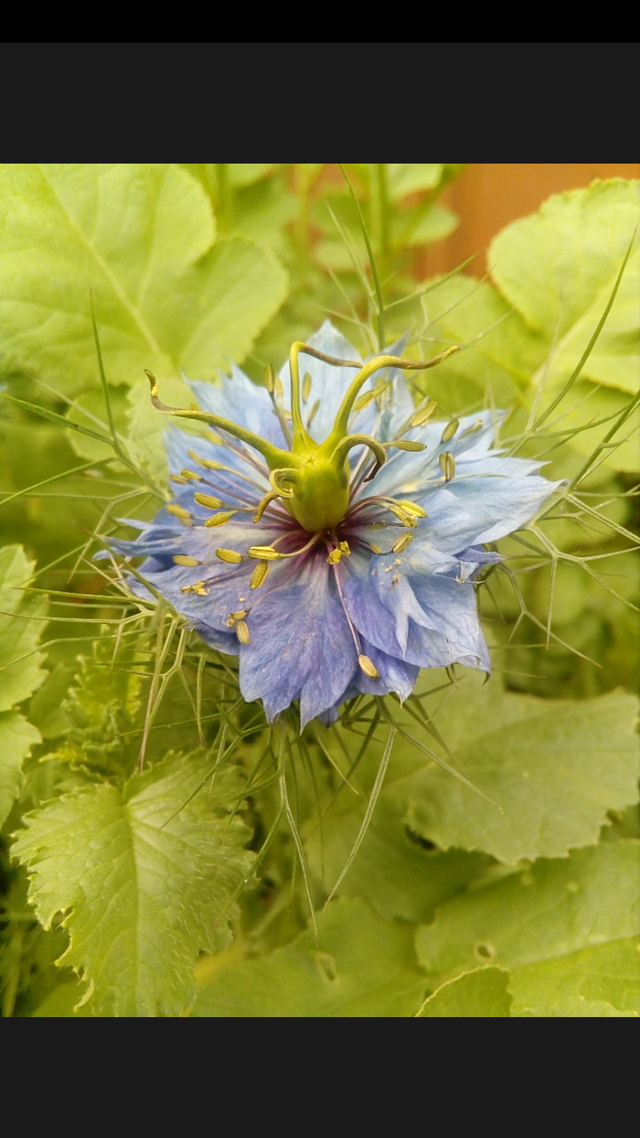 Татьяна Татьяна