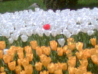 Талгат Кетебаев