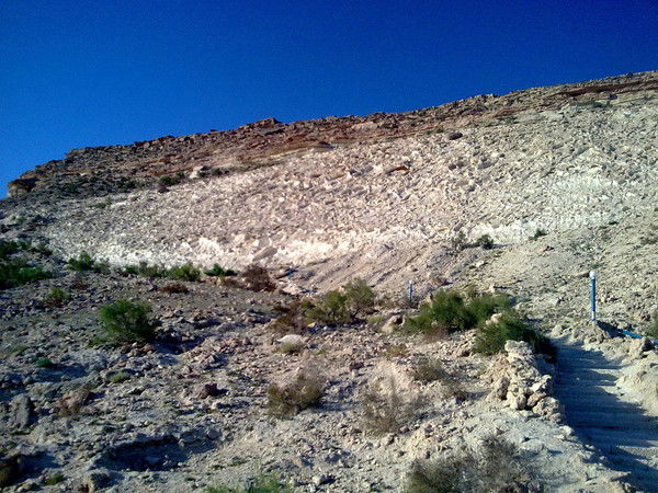 Мулдир Мухтаровна