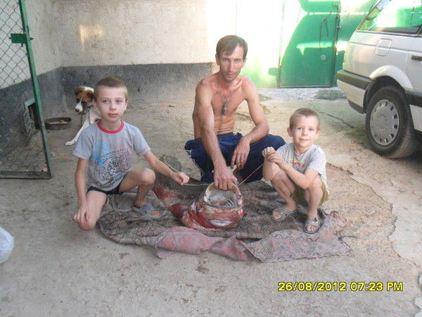 Владимир Головкин