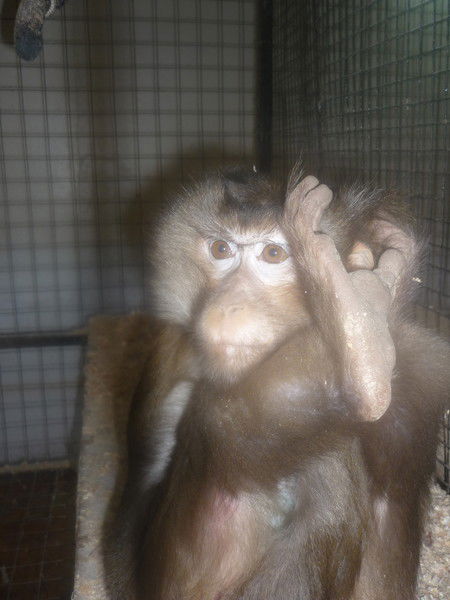 Неизвестно Неизвестно