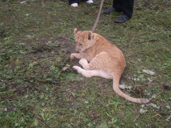 Наталья Кулаженкова