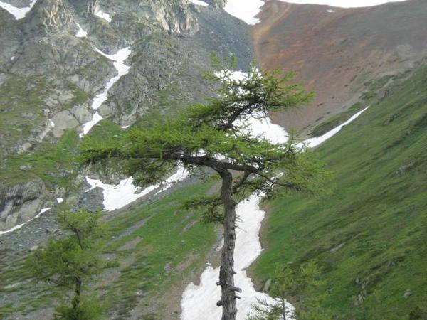 Рауза Ермурзина