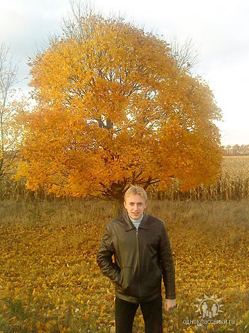 Александр Козлов