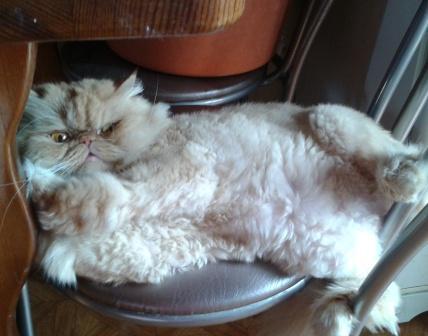 Светлана Щербакова