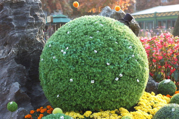 Гульназ Досмырзаева