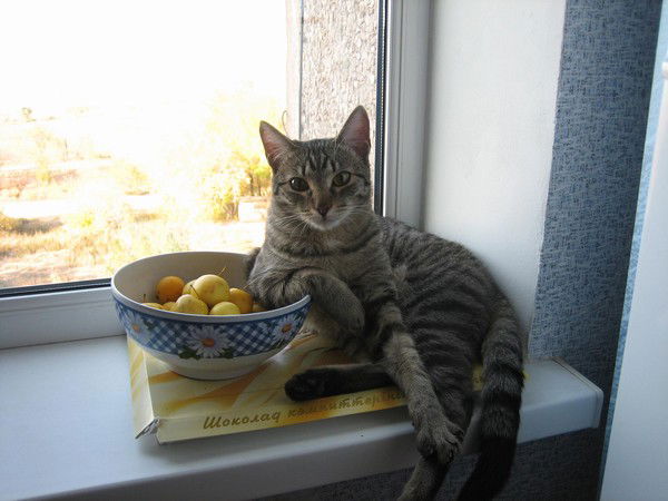 Сергей Иутин