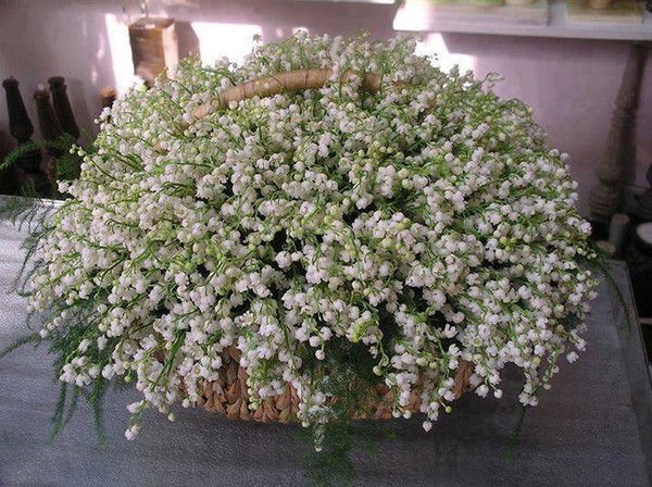 Татьяна Рагулёва