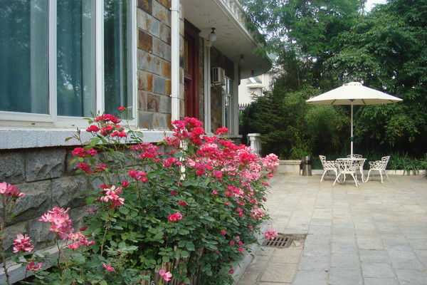 Ольга Левченко