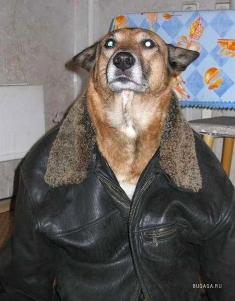 Андрей Лихомиронов