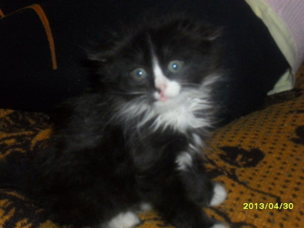 Татьяна Ронжина