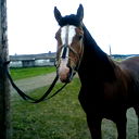 Ильяс Загитов