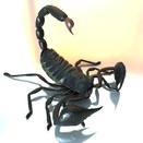 Владимир Бражников