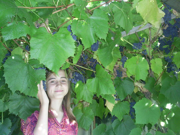 Аля Новикова