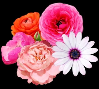 Роза Куракова