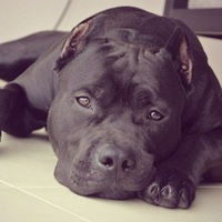 Костя Вахрушев