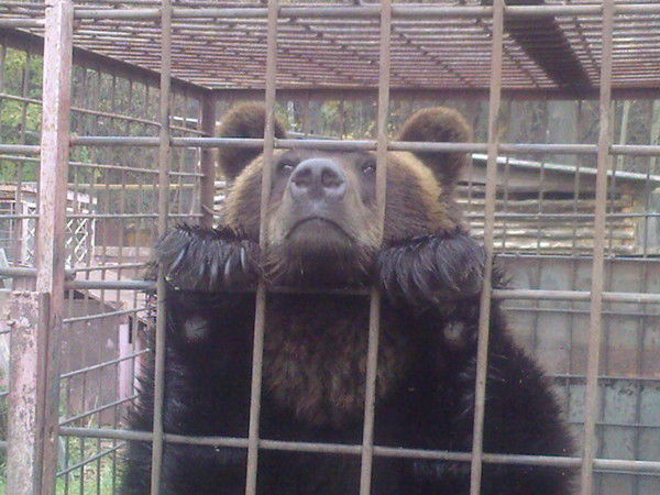 Владимир Анюхин