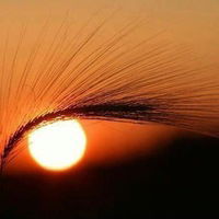 Надя Зиновьева