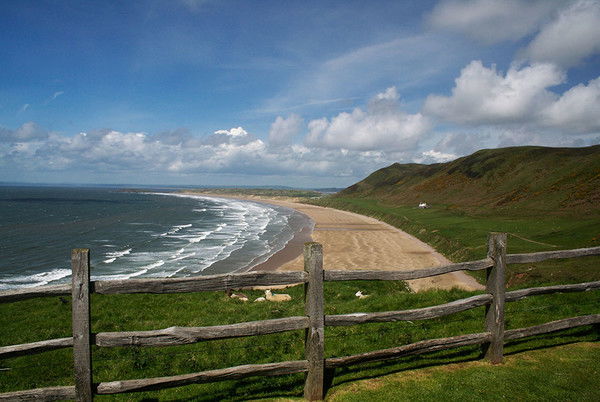 Лариса Кузнецова