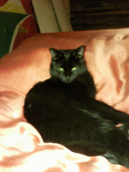 Галина Борисова