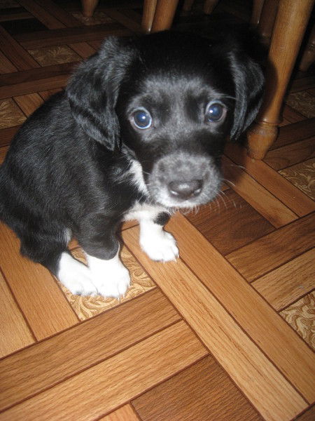 Ирина Ткачук