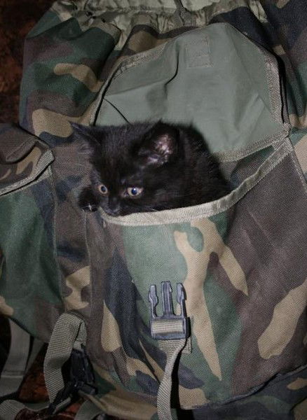 Наталья Щёкотова