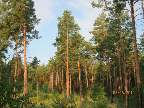 Майкарагай Лебяженский Район