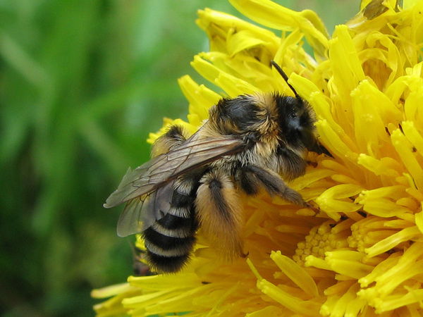 Игорь Долганов