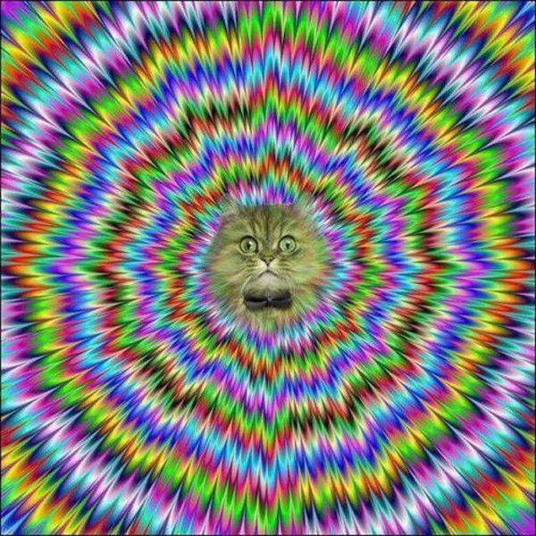 Артём Жуков