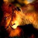 Ворис Носиров