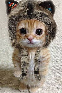 Фатима Кокоева