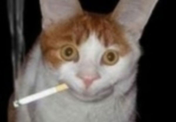 Павел Сковородкин