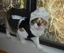 Людмила Берг