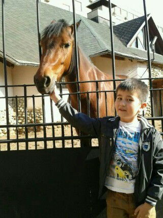 Айсулу Зулпукарова