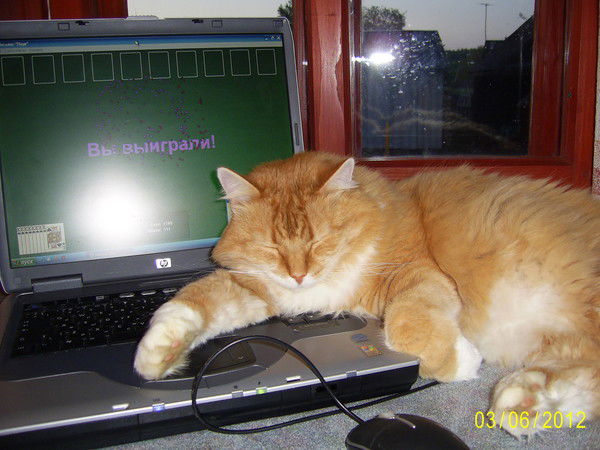 Владимир Мамонтов