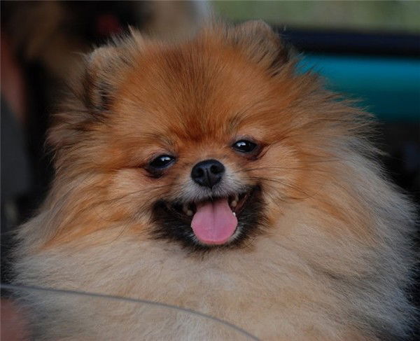 Татьяна Виноградова