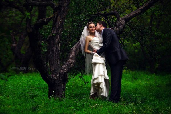 Алина Терещенко