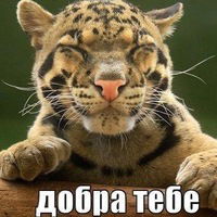 Владимир Стоноженко