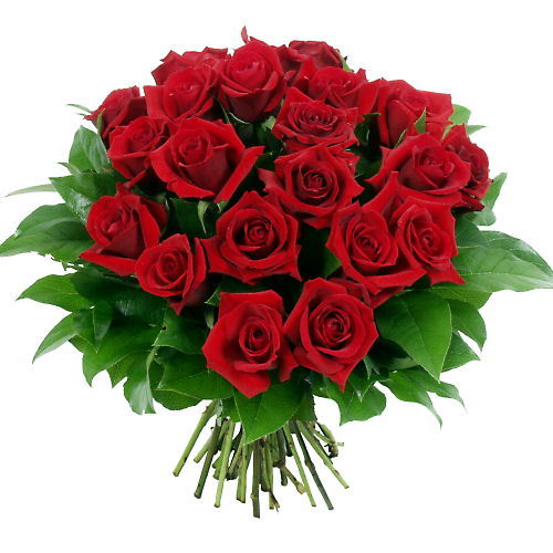 Норб-27 Помощник Ск На Ст.тобол