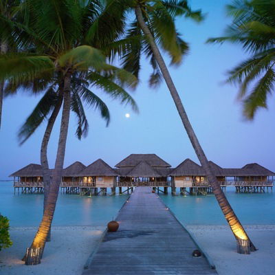 Улькер Вердиева