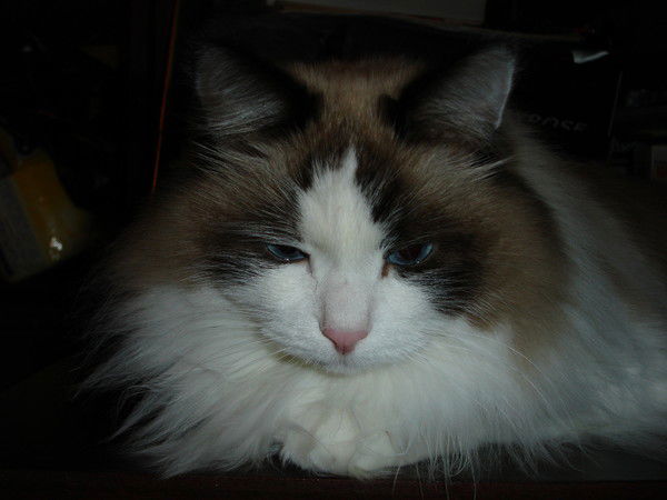 Юрий Козлов