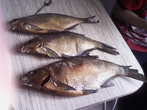 Алексей Кузнецов