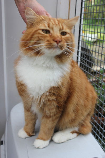 Максим Данилочкин