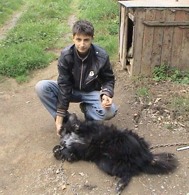 Серый Тарасенко